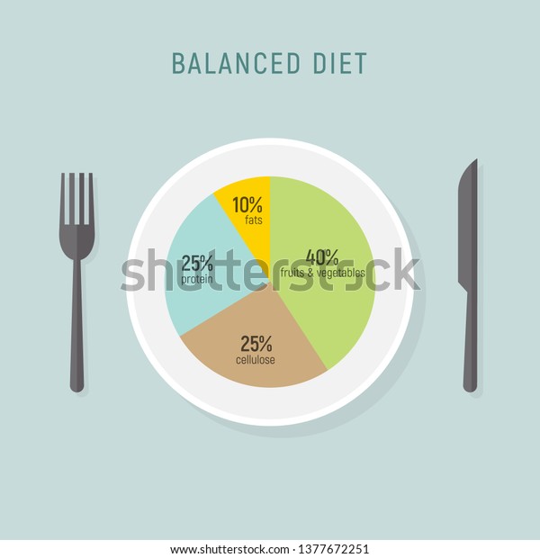 Healthy Diet Food Balance Nutrition Plate Stock Vector (Royalty Free ...