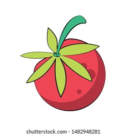 healthy diet nutrition eating lifestyle tomato cartoon vector illustration graphic design