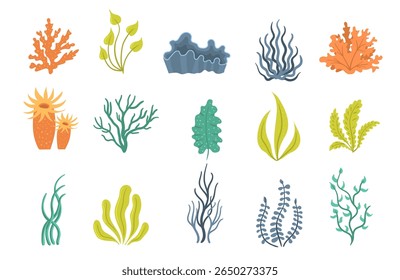 Dieta saudável com alga marinha crua salada vegetal aquática nutrição ervas submarinas recife marinho elemento alimentar coral grama oceano oceano planta alga folha folhagem ilustração japão tropical vegetariano nori


