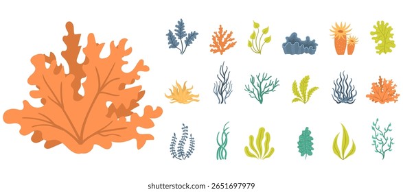 Dieta saudável com alga marinha crua salada vegetal aquática nutrição ervas submarinas recife marinho elemento alimentar coral grama oceano oceano planta alga folha folhagem ilustração japão tropical vegetariano nori

