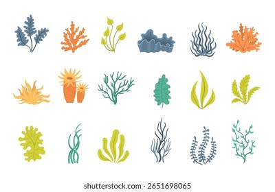 Dieta saudável com alga marinha crua salada vegetal aquática nutrição ervas submarinas recife marinho elemento alimentar coral grama oceano oceano planta alga folha folhagem ilustração japão tropical vegetariano nori

