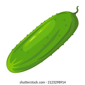Healthy dieting and nutrition, eating organic and natural food. Isolated whole cucumber, fresh product from market or store. Nourishment and agriculture or harvesting season. Vector in flat style