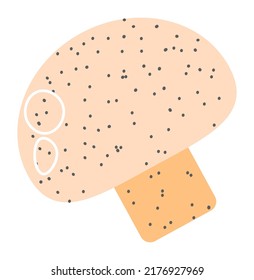 Healthy dieting and nutrition, isolated mushroom ingredients for cooking. Preparing tasty food based on plants, veggies meal rich in minerals. Balanced eating habits and recipes. Vector in flat style