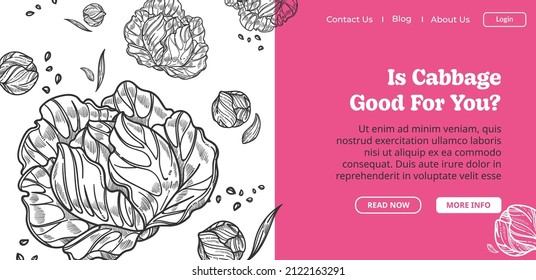 Healthy dieting and nutrition, nourishment and tasty food for staying safe and sound. Cabbage leaves for salad, vegetarian and vegan menu. Monochrome sketch outline, website. Vector in flat style