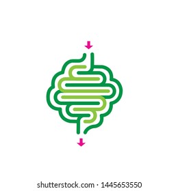Healthy digestion vector illustration isolated on white background, green vector.