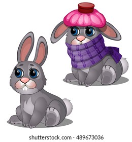 Healthy and diseased cute hare. Vector illustration.