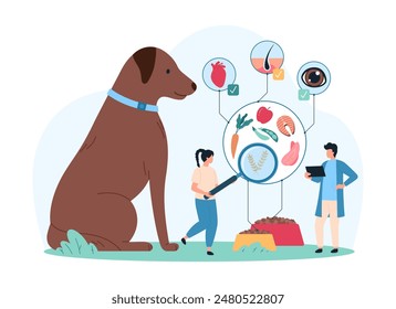 Healthy dry food for dog, infographic diagram. Tiny people with magnifying glass study biscuit snacks of pet in bowl, nutrition for heart and eyes health, skin and fur cartoon vector illustration