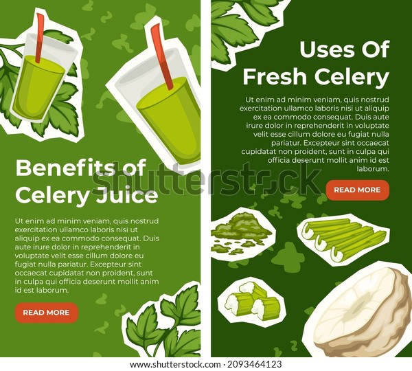 Healthy eating and balanced dieting, use of fresh
celery and juice of stick. Herbs and condiments for cooking and
dishes preparation. Website or web page, landing template. Vector
in flat style
