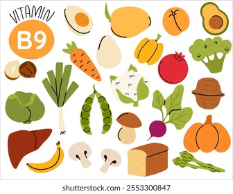 Alimentação saudável e dieta alimentar. Fonte de alimento da vitamina B9. Comida diferente rica em vitamina B9. Nutrição orgânica alimentar. 