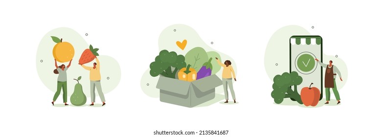 Healthy eating illustration set. Character buying fresh organic fruit, vegetables in online grocery shop and receiving veggie box delivery. Local production support concept. Vector illustration.