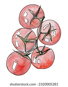 Healthy eating ingredients. Tomatos on a branch. Vegetable. Keto food.  Vector illustration. Watercolor, ink