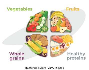 Healthy eating plate: vegetables, fruits, healthy proteins, whole grains. Diet concept. Healthy way of life. Vegetarian. Flat vector illustration.