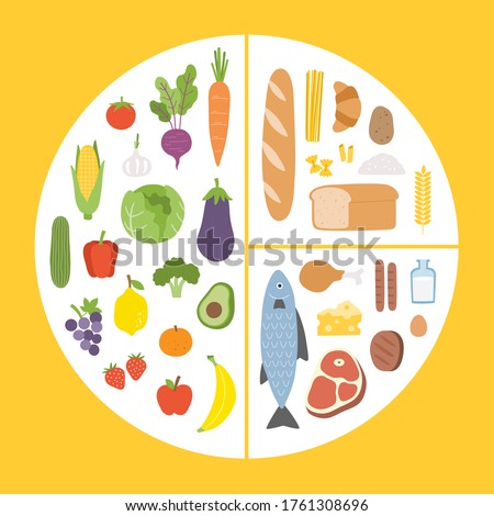 Healthy eating tips. Infographic chart of food balance with proper nutrition proportions. Plan your meal. Healthy balanced food and dieting concept.