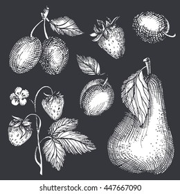 Healthy ecological and organic food. Image of fruit and berries on a chalk board. Freehand drawing. 