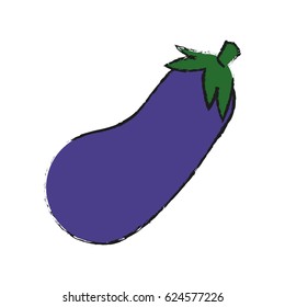 healthy eggplant vegetable design