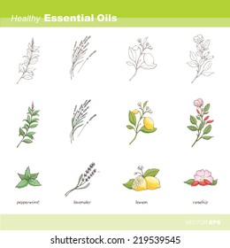Healthy essential oils