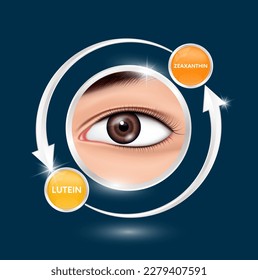 Healthy eye. Sticker label silver  frame for nutrition products food logo template design circular arrow around. Lutein and Zeaxanthin with chemical formula from marigold to nourish eyes 3D Vector.