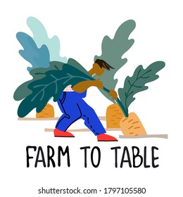 Healthy farm food concept. Fresh vegetables concept. Harvesting concept. Pick your own concept. Man picking carrot vector illustration in abstract flat style