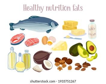 Healthy fats products. Diet food concept. Salmon, butter, vegetables oils, nuts,eggs, dairy products and avocado. Vector hand drawn flat isolated illustration with dry brush texture for your design.