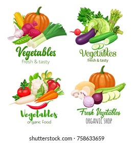 Healthy food banners with vector vegetables. Cabbage, pepper, beets, or carrots. Onion, zucchini, eggplant and asparagus. Corn, celery and mushrooms.