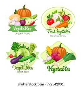 Healthy food banners with vector vegetables. Cabbage, pepper, beets, or carrots. Onion, zucchini, eggplant and asparagus. Corn and mushrooms