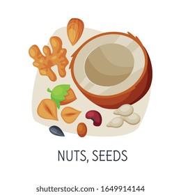 Healthy Food for Brain, Nuts and Seeds, Active Lifestyle, Healthy Diet Elements Vector Illustration