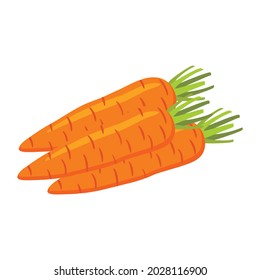 healthy food carrot vegetable vector