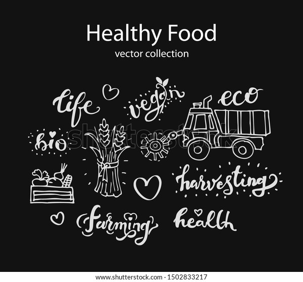 Healthy Food Chalk Drawings Harvesting Related Stock Vector