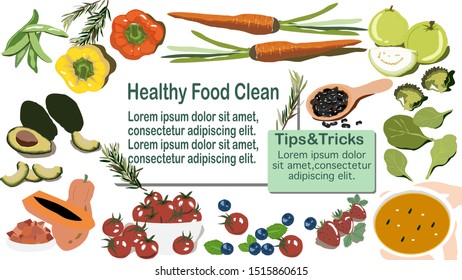 Healthy food clean eating, collection of fruit, organic vegetable, seeds, superfood, rosemary leaves for banner, infographic, design for ui, ux, website or publisher, flat vector, easy to adjust.