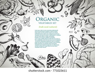 Healthy food frame vector illustration. Vegetables hand drawn. Organic food set