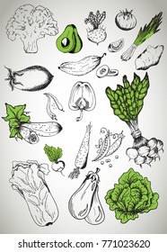 Healthy food frame vector illustration. Vegetables hand drawn. Organic food set