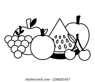 healthy food fresh