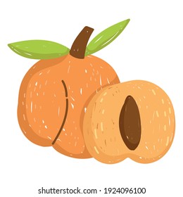 healthy food fresh peach icon isolated style vector illustration