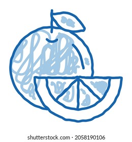 Healthy Food Fruit Orange sketch icon vector. Hand drawn blue doodle line art isolated symbol illustration