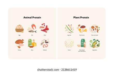 Healthy Food Guide Concept. Vector Flat Modern Illustration. Animal And Plant Protein Compare Infographic With Product Icon And Name Labels.