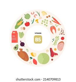 Healthy food guide concept. Vector flat illustration. Infographic of b5 vitamin sources. Colorful meat, poultry, seafood, mushroom, fruit, vegetables, dairy products and beans icon set.