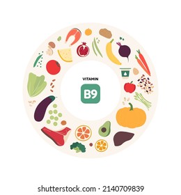 Healthy food guide concept. Vector flat illustration. Infographic of b9 vitamin sources. Colorful meat, fruit, vegetables and grains icon set.