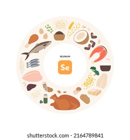 Healthy food guide concept. Vector flat illustration. Infographic of selenium se vitamin sources. Circle frame chart. Colorful meat, seafood, grain, seeds and nuts icon set.