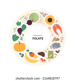 Healthy food guide concept. Vector flat illustration. Infographic of folate b9 vitamin sources. Circle frame chart. Colorful vegetables, fruits, seafood, fruit, salad, egg icon set.