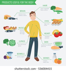 Healthy Food For Human Body. Healthy Eating Infographic. Food And Drink. Vector Illustration