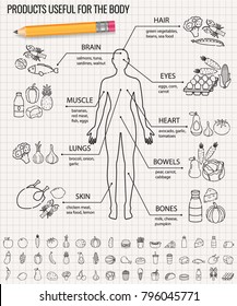 Healthy food for human body. Healthy eating infographic. Food and drink. Vector illustration