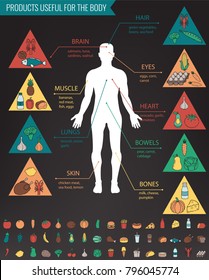 Healthy food for human body. Healthy eating infographic. Food and drink. Vector illustration