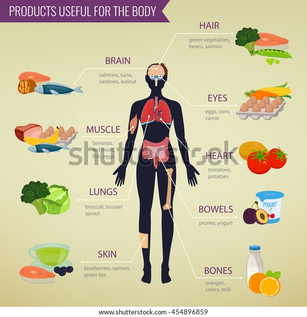 Healthy food for human body. Healthy eating\
infographic. Food and drink.\
Vector