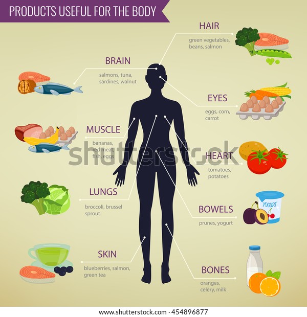Healthy food for human body. Healthy eating\
infographic. Food and drink.\
Vector