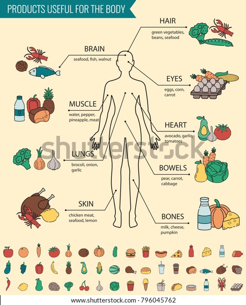 Healthy food for human body. Healthy
eating infographic. Food and drink. Vector
illustration
