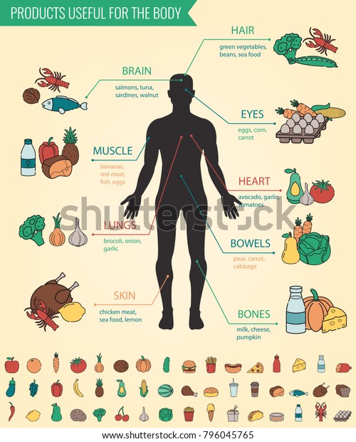 Healthy food for human body. Healthy\
eating infographic. Food and drink. Vector\
illustration