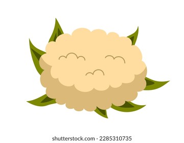 Healthy food icon. Sticker with cauliflower or fresh cabbage. Delicious organic vegetable or natural product. Healthy lifestyle and diet. Cartoon flat vector illustration isolated on white background