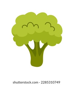 Healthy food icon. Sticker with fresh broccoli. Organic product or vegetable with vitamins and nutrients. Healthy lifestyle and diet. Cartoon flat vector illustration isolated on white background