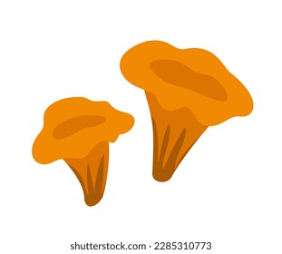 Healthy food icon. Sticker with ripe fresh chanterelles. Wild forest natural mushroom. Organic edible product. Healthy lifestyle and diet. Cartoon flat vector illustration isolated on white background