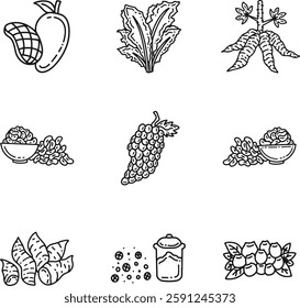 healthy food icons consist of mango, lettuce, cassava, green beans, cashew nuts, grapes, sweet potatoes, pepper, blueberries with line art style